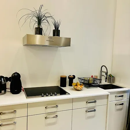 Loft Du Marais * باريس
